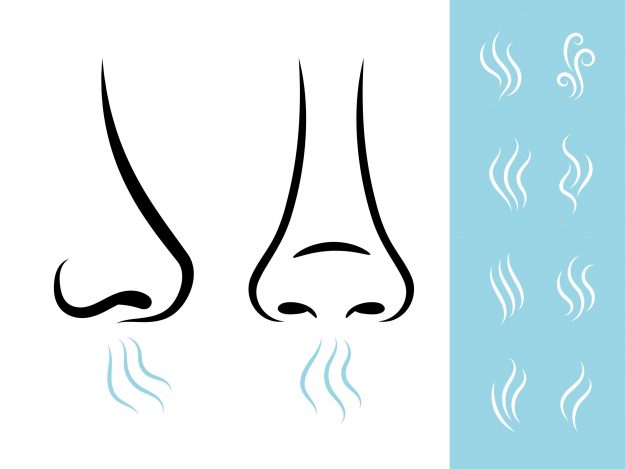 dýchacie cvičenia, chronická obštrukčná choroba pľúc dýchacie cvičenia, chronická obštrukčná choroba pľúc