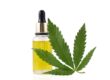 Marihuana, cannabis, kanabinoidy, psychiytrické účinky, psychické zdravie, závislosť